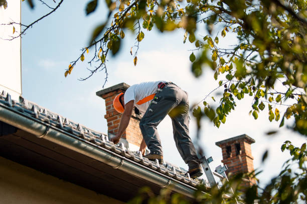Best Roof Waterproofing Services  in Creedmoor, NC